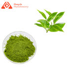 1000 Mesh Pure Plant Extract Organic Authentic Matcha Green Tea powder