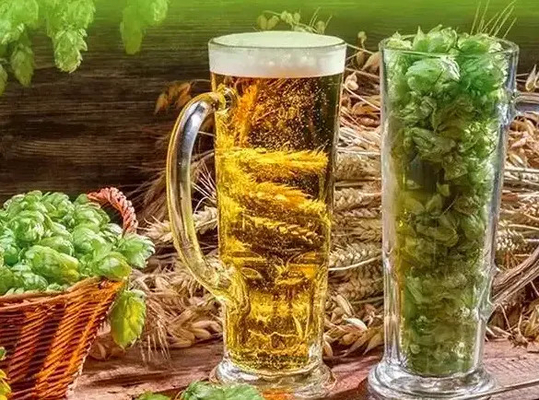 Pure Humulus Lupulus Hops Extract Powder Food / Beverage Grade