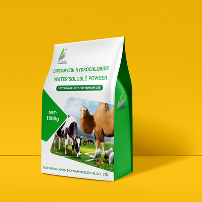 LINCOMYCIN HYDROCHLORIDE bubuk larut dalam air