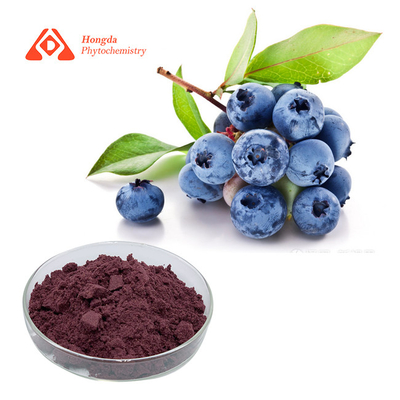 Ekstrak Blueberry Tanaman Murni 25% Bubuk Antosianin Untuk Grade Makanan