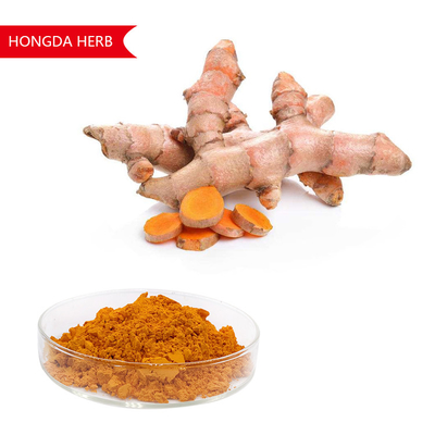 Ekstrak Tanaman Murni Curcuma Longa Bubuk 95% HPLC Antioksidan Dan Anti-inflamasi