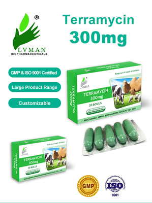 Obat Veterinary Antibacterial Florfenicol Injeksi Untuk Sapi Domba Kambing