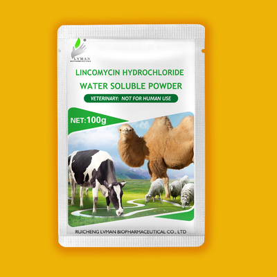 LINCOMYCIN HYDROCHLORIDE bubuk larut dalam air Obat hewan